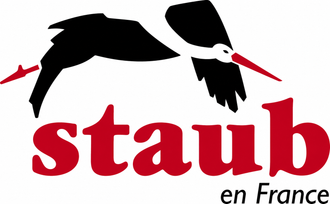 staubus.it.com